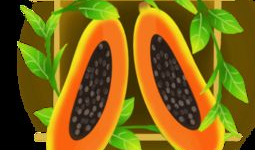 吃瓜爆料素材下载安装免费,吃瓜爆料背后的真相与幕后故事