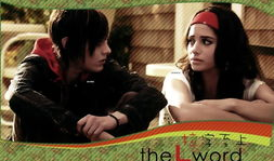 德国les电视剧,探索多元爱情的独特魅力